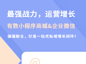 细节拉满，战力全开！有数小程序商城携手企业微信玩转私域增长闭环！